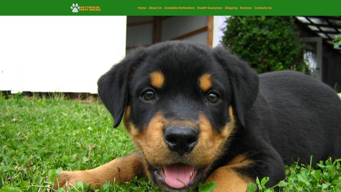 Rottweilerpuppiesonline.com - Rottweiler Puppy Scam Review