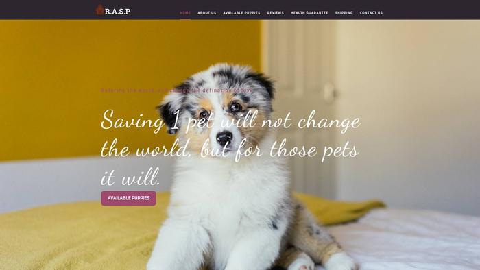 Royalaustraliansherpherdpuppies.com - Australian Shepherd Puppy Scam Review