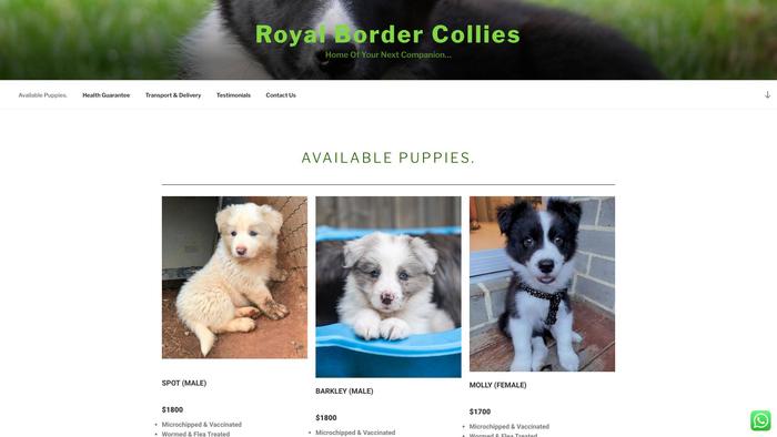 Royalbordercollies.com - Bordercollie Puppy Scam Review