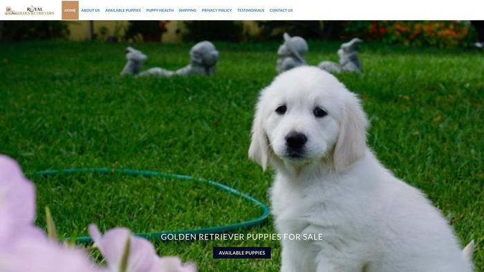 Royalgoldenretrieverss.com - Golden Retriever Puppy Scam Review