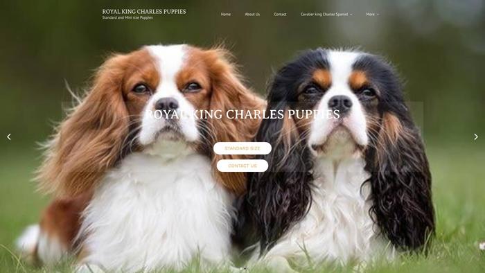 Royalkingcharlespuppieshome.com - Cavalier King Charles Spaniel Puppy Scam Review