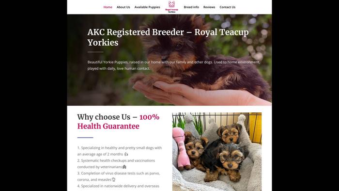 Royaltcupyorkies.com - Yorkshire Terrier Puppy Scam Review