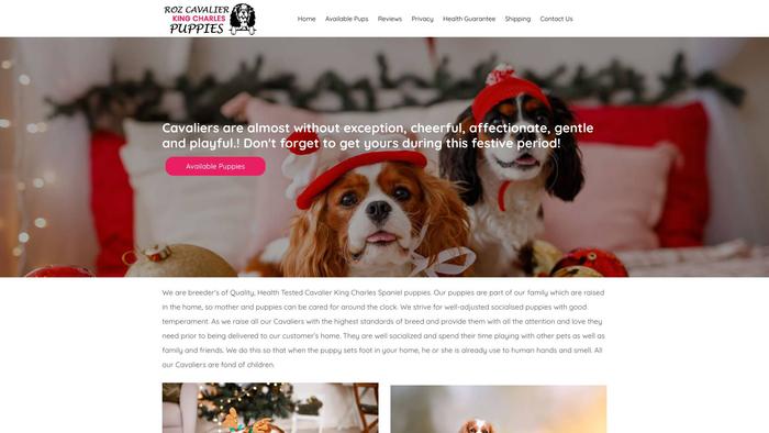 Rozcavalierkingcharlespuppies.com - Cavalier King Charles Spaniel Puppy Scam Review