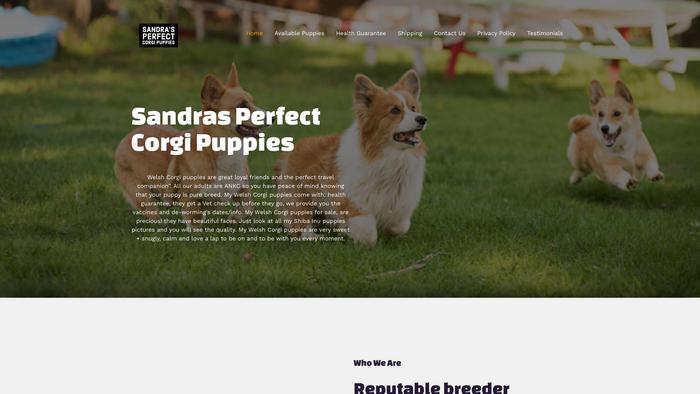 Sandraperfectcorgipuppies.com - Corgi Puppy Scam Review