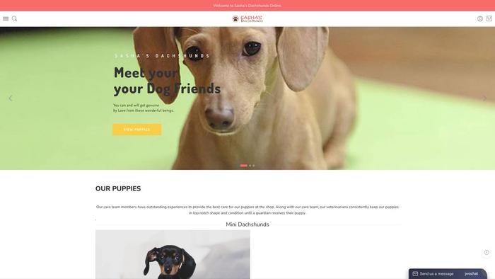 Sashasdachshunds.com - Dachshund Puppy Scam Review