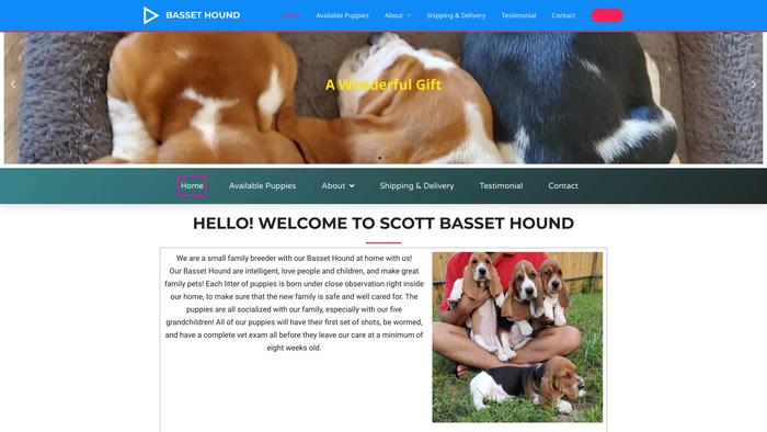 Scottbassethound.com - Bassethound Puppy Scam Review