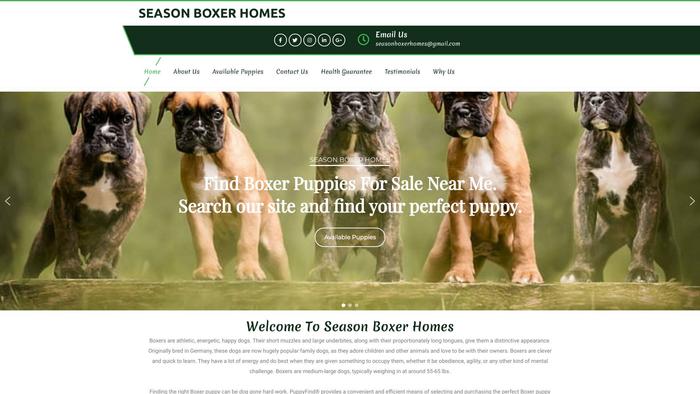 Seasonboxerhomes.com - Boxer Puppy Scam Review