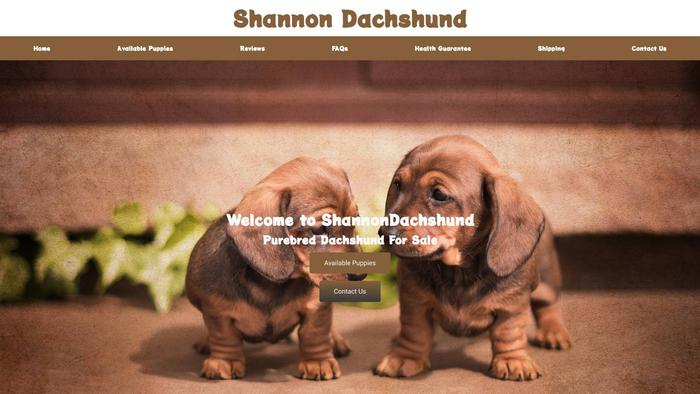 Shannondachshund.com - Dachshund Puppy Scam Review