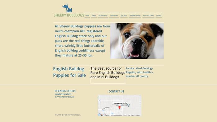 Sheerybulldogs.com - Bulldog Puppy Scam Review