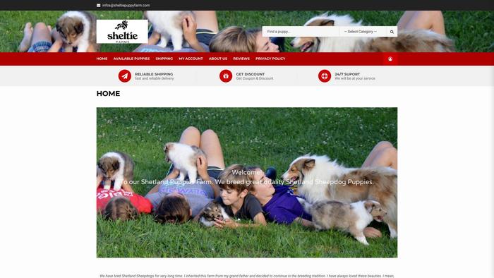 Sheltiepuppyfarm.com - Australian Shepherd Puppy Scam Review