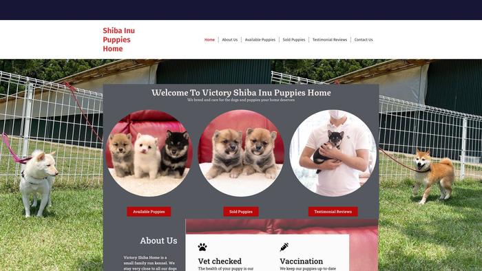 Shibapuppieshome.com - Shibhainu Puppy Scam Review