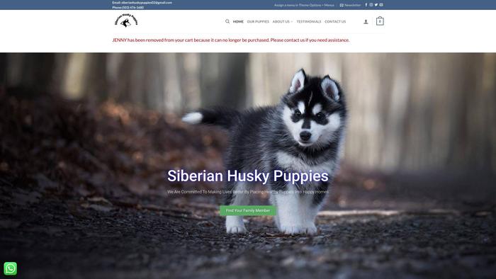 Siberian-husky-puppies.com - Husky Puppy Scam Review