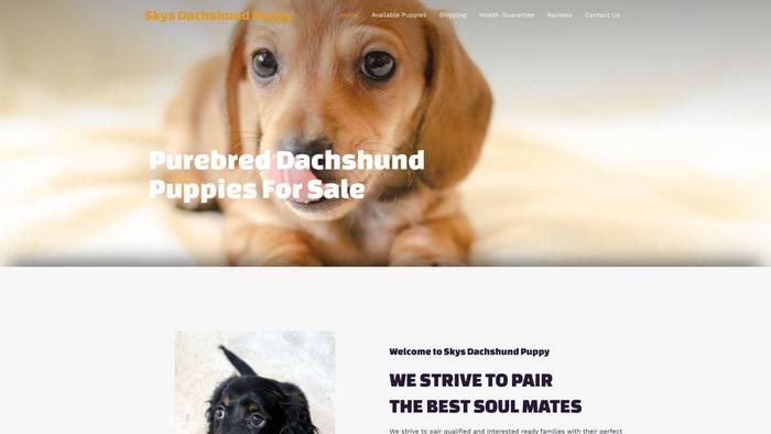 Skysdachshundpuppy.com - Dachshund Puppy Scam Review