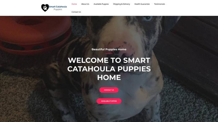 Smartcatahoulapuppies.com - Labrador Puppy Scam Review