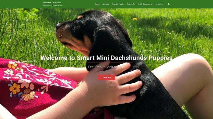 Smartminidachshundspppies.com - Dachshund Puppy Scam Review