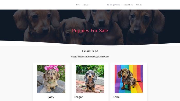 Sorelidachshund.com - Dachshund Puppy Scam Review