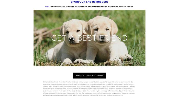 Spurlocklabretrivers.us - Labrador Puppy Scam Review