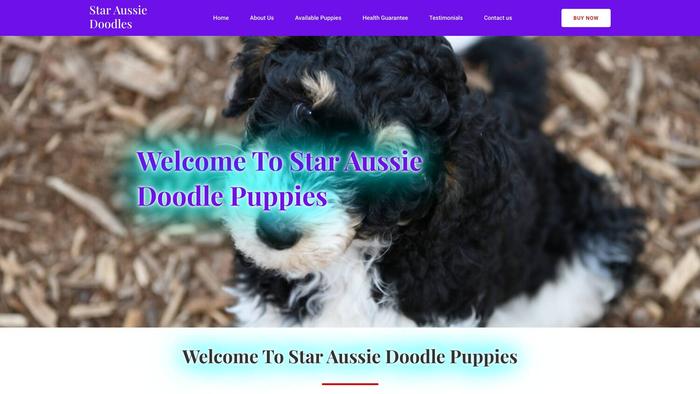 Staraussiedoodles.com - Australian Shepherd Puppy Scam Review