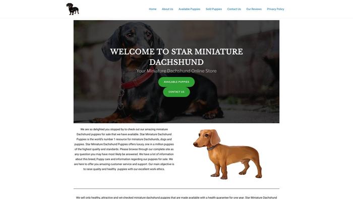 Starminiaturedachshund.store - Dachshund Puppy Scam Review