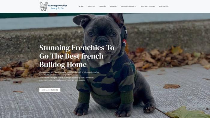 Stunningfrenchiesreadytogo.com - French Bulldog Puppy Scam Review