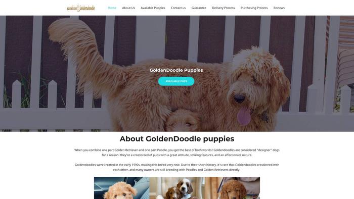 Sunshinegoldendoodlepuppieshome.com - Golden Doodle Puppy Scam Review