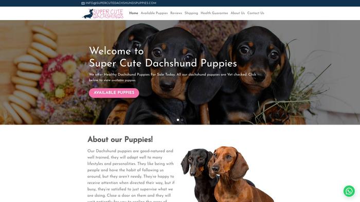 Supercutedachshundspuppies.com - Dachshund Puppy Scam Review