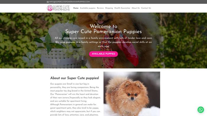 Supercutepomeranianpuppies.com - Pomeranian Puppy Scam Review