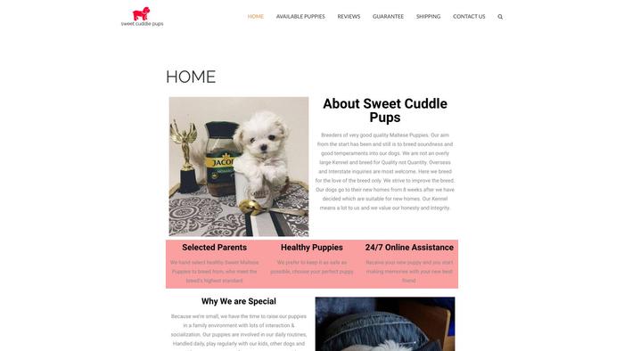 Sweetcuddlepups.com - Maltese Puppy Scam Review