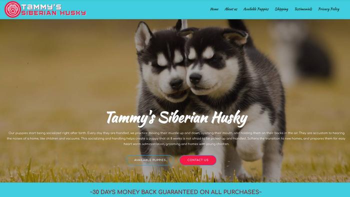 Tammysiberianhusky.com - Husky Puppy Scam Review