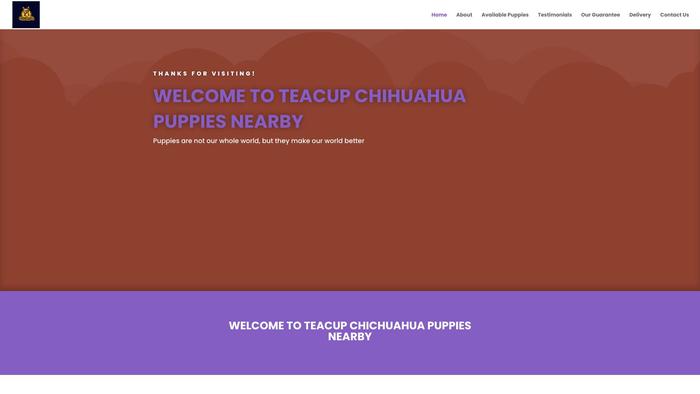 Teacupchihuahuapuppiesnearby.com - Chihuahua Puppy Scam Review