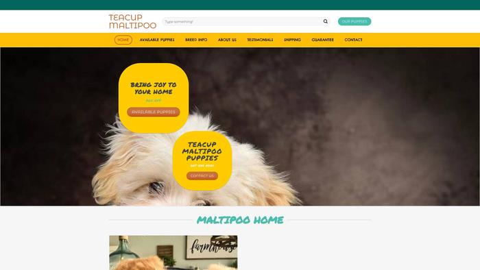 Teacupmaltipoopuppieshome.com - Maltipoo Puppy Scam Review