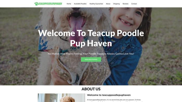 Teacuppoodlepuphaven.com - Poodle Puppy Scam Review