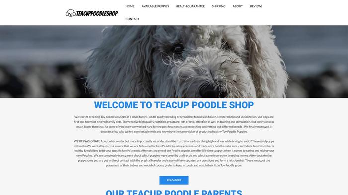 Teacuppoodleshop.com - Poodle Puppy Scam Review