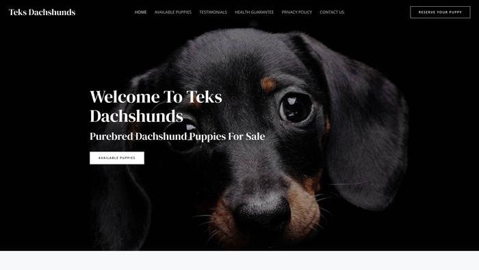 Teksdachshunds.com - Dachshund Puppy Scam Review