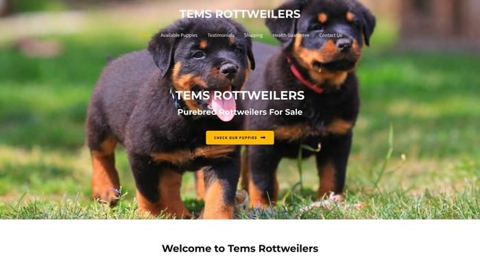 Temsrottweilers.com - Rottweiler Puppy Scam Review