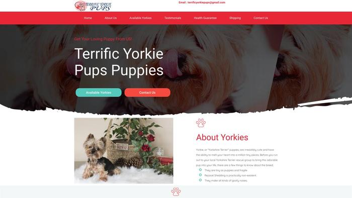 Terrificyorkiepups.com - Yorkshire Terrier Puppy Scam Review