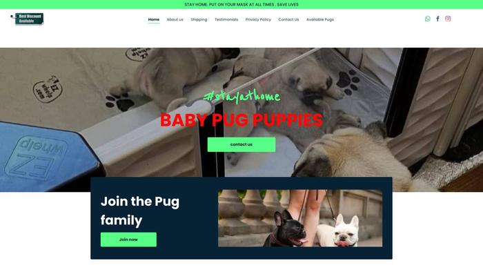 Thepugsfamily.com - Pug Puppy Scam Review