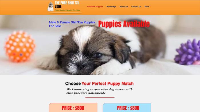 Thepureshihtzuhome.com - Shihtzu Puppy Scam Review