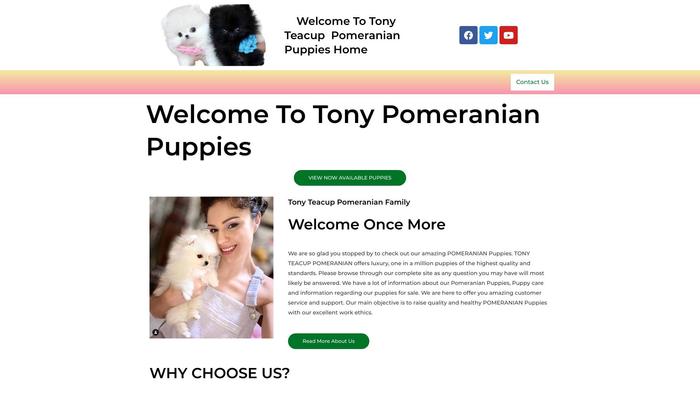 Tonyteacuppomeranians.com - Pomeranian Puppy Scam Review