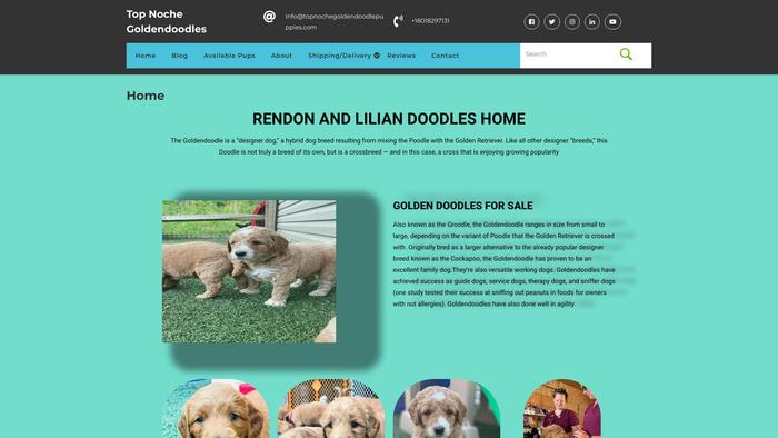 Topnochegoldendoodlepuppies.com - Golden Doodle Puppy Scam Review