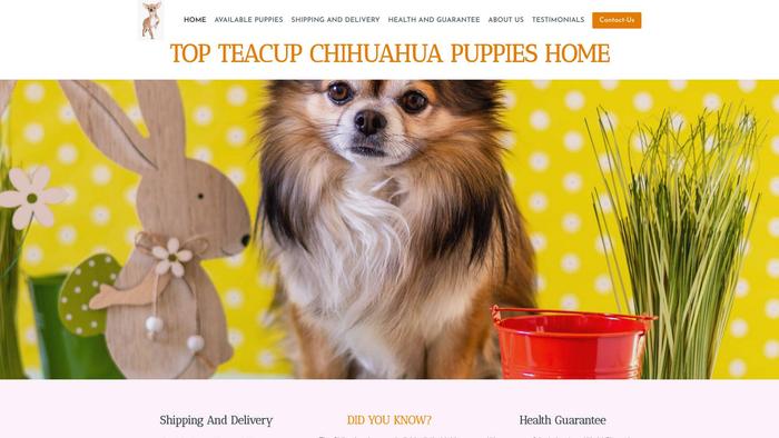 Topteacupchihuahuapuppies.com - Chihuahua Puppy Scam Review