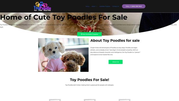 Toypoodlesforsalenearme.com - Poodle Puppy Scam Review