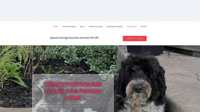 Trinityportuguesewaterdogshome.com - Labrador Puppy Scam Review