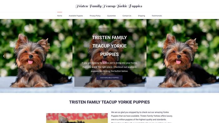 Tristenteacupyorkiepuppies.com - Yorkshire Terrier Puppy Scam Review