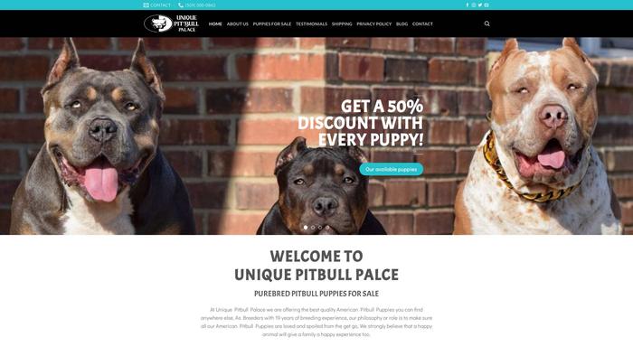 Uniquepitbullpalace.com - Pit Bull Puppy Scam Review