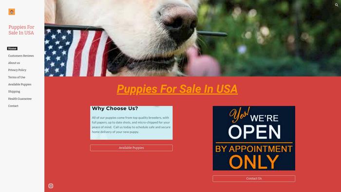 Usapuppiesforsale.org - Cavapoo Puppy Scam Review