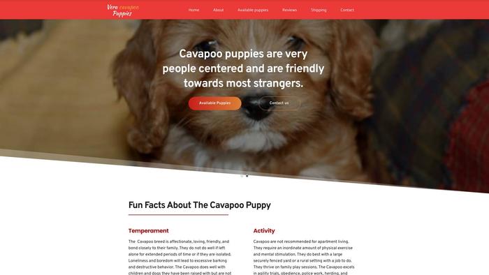 Veracavapoopuppies.com - Cavapoo Puppy Scam Review