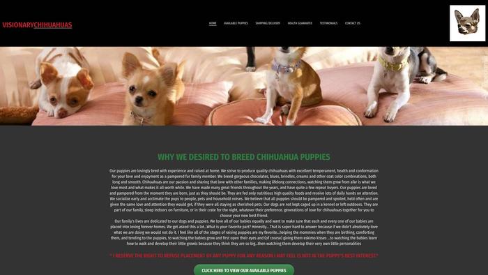 Visionarychihuahuas.com - Chihuahua Puppy Scam Review