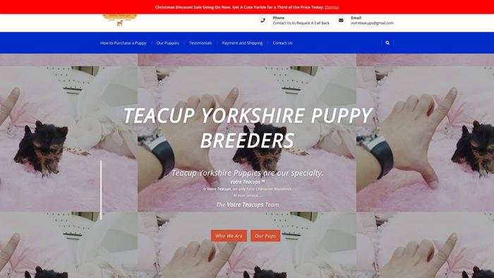 Votreteacups.com - Terrier Puppy Scam Review