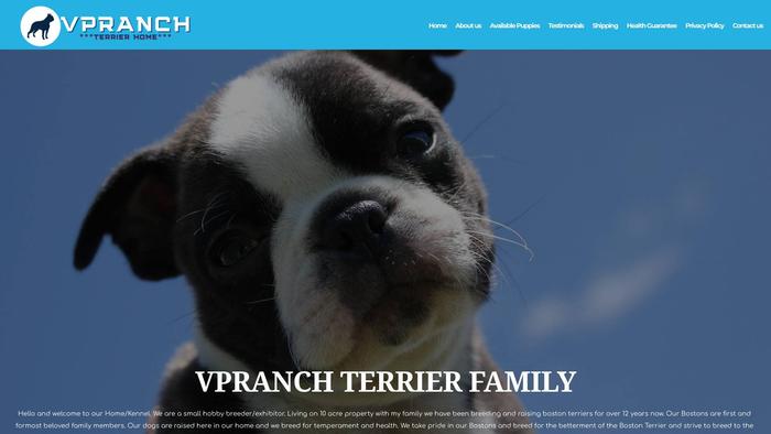 Vpranchterrier.com - Boston Terrier Puppy Scam Review